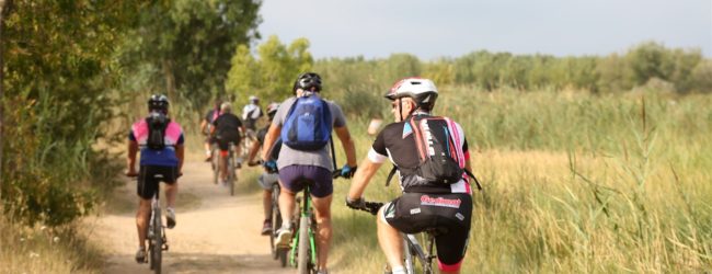 Qu’avez-vous besoin pour une sortie en VTT ?